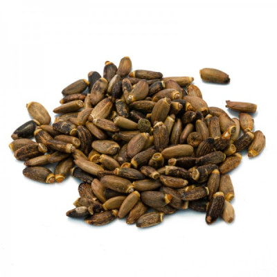 Cardo mariano 100 grammi -...