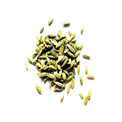 Finocchio semi 100 grammi -...