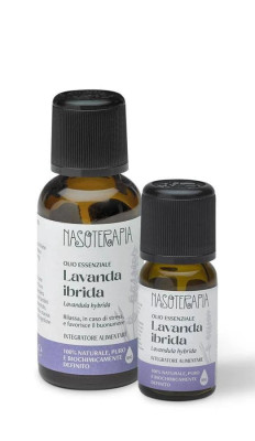 copy of Lavanda Ibrida -...